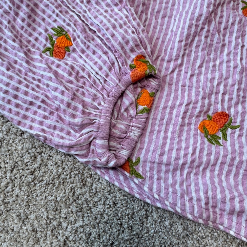 Anthropologie Maeve Embroidered Button Down Fruit Striped Size Small - Picture 5 of 8